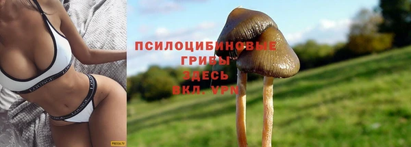 соль курить ск Медногорск