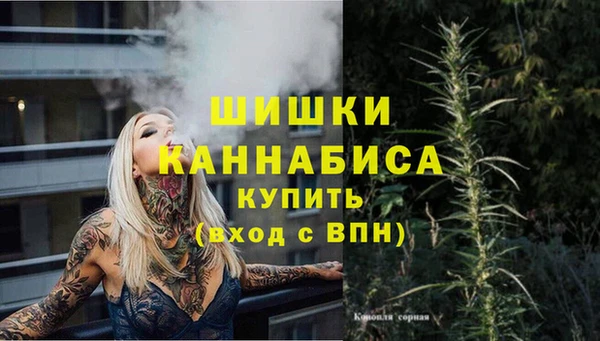 apvp Рославль