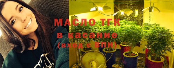 твердый Касимов