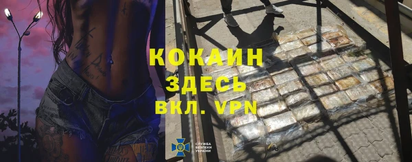 гидра Алексин