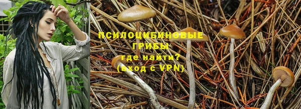 тгк Карпинск