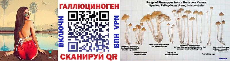 Галлюциногенные грибы прущие грибы  Елизово 